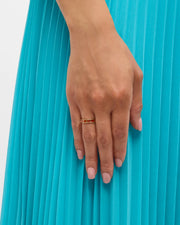 Red carnelian segment band ring in 18k gold vermeil