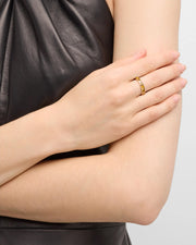 Tiger's eye segment band ring in 18k gold vermeil 