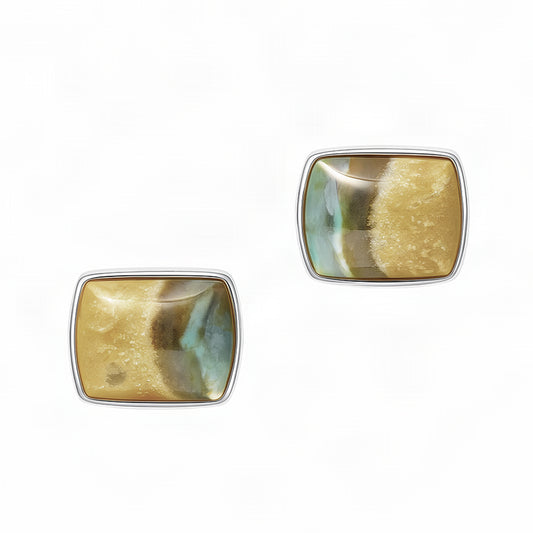 Picturesque Sand Bar Opalized Petrified Wood Sterling Silver Sterlings