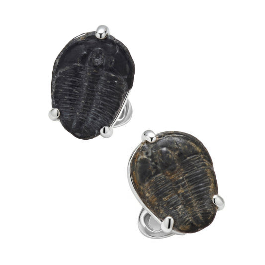 Delta Trilobite Fossil Sterling Silver Cufflinks